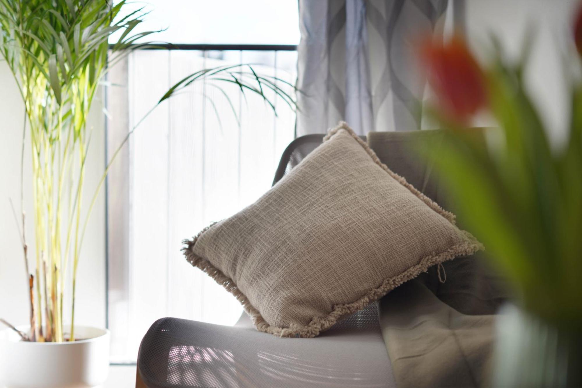 Schoene Apartments In Bad Rothenfelde I Private Parkplaetze Mit Ladesaeulen I Home2Share المظهر الخارجي الصورة